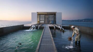“Japan Turns Ocean Water Into Electricity”: Fukuoka Power Plant Generates 880,000 kWh From Salt And Freshwater Mixing